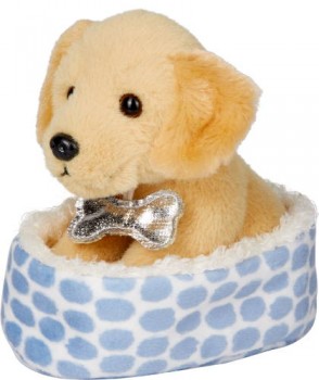 Golden Retriever Goldi im Korb