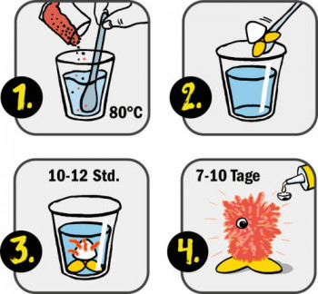 Kristall-Gnom züchten -Wild+Cool-